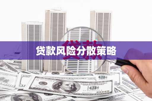会宁贷款风险分散策略