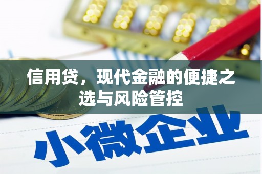 会宁信用贷，现代金融的便捷之选与风险管控