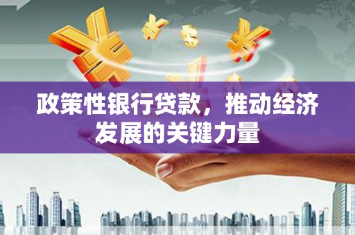 会宁政策性银行贷款，推动经济发展的关键力量