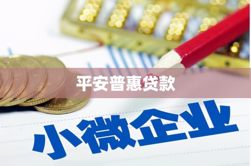 会宁平安普惠贷款