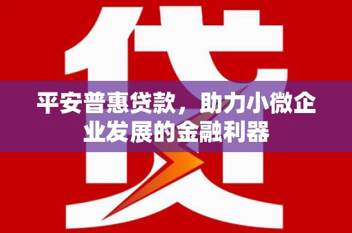 会宁平安普惠贷款，助力小微企业发展的金融利器