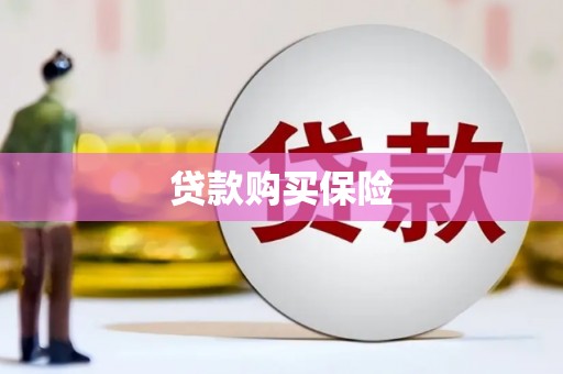 会宁贷款购买保险