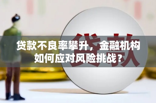 会宁贷款不良率攀升，金融机构如何应对风险挑战？