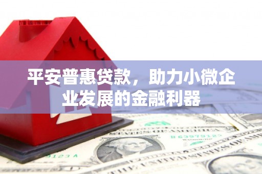 会宁平安普惠贷款，助力小微企业发展的金融利器