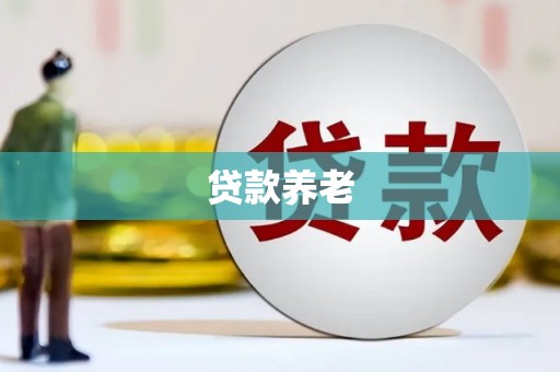 会宁贷款养老