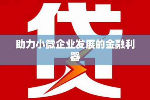 会宁助力小微企业发展的金融利器