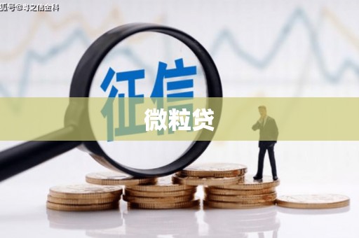 会宁微粒贷