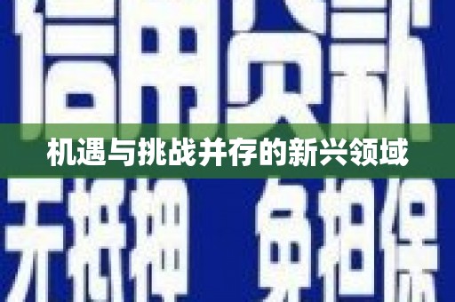会宁机遇与挑战并存的新兴领域