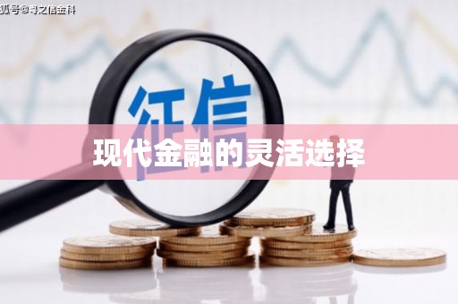 会宁现代金融的灵活选择