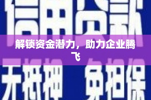 会宁解锁资金潜力，助力企业腾飞