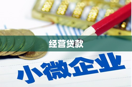 会宁经营贷款