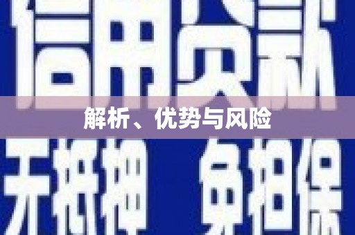 会宁解析、优势与风险