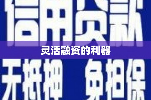 会宁灵活融资的利器