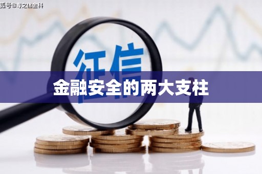 会宁金融安全的两大支柱