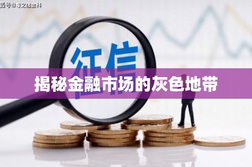 会宁揭秘金融市场的灰色地带