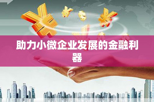 会宁助力小微企业发展的金融利器