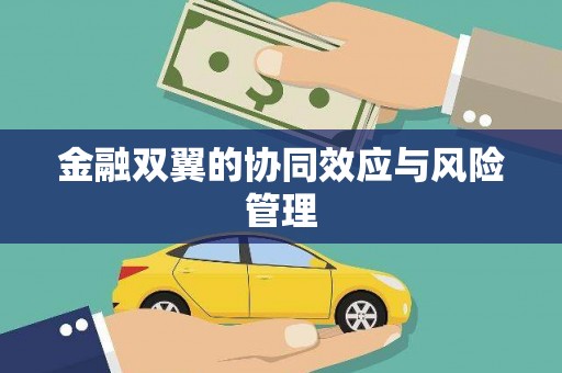 会宁金融双翼的协同效应与风险管理
