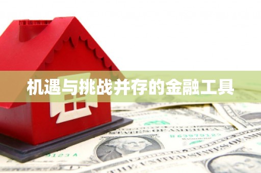 会宁机遇与挑战并存的金融工具