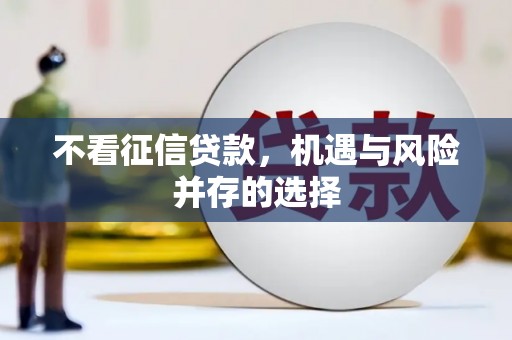 会宁不看征信贷款，机遇与风险并存的选择