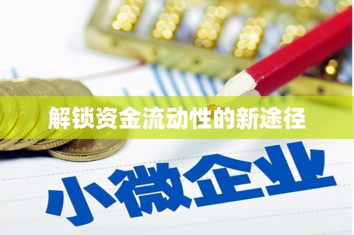 会宁解锁资金流动性的新途径