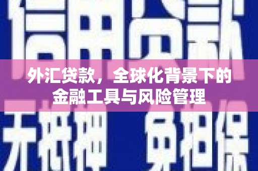 会宁外汇贷款，全球化背景下的金融工具与风险管理