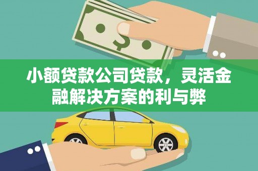 会宁小额贷款公司贷款，灵活金融解决方案的利与弊
