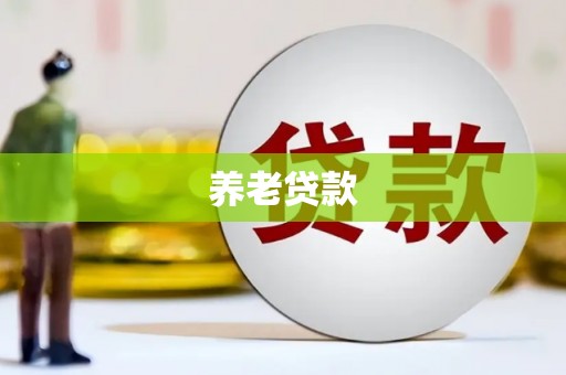 会宁养老贷款