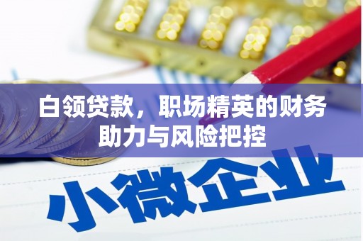 会宁白领贷款，职场精英的财务助力与风险把控