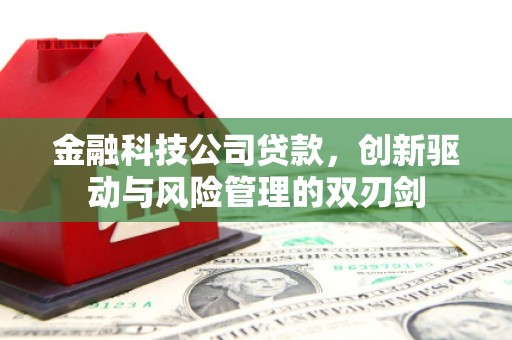 会宁金融科技公司贷款，创新驱动与风险管理的双刃剑
