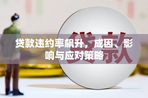 会宁贷款违约率飙升，成因、影响与应对策略